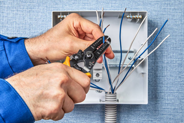 Best Surge Protection Installation  in Trinity, AL